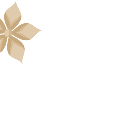 fleur décorative background 1